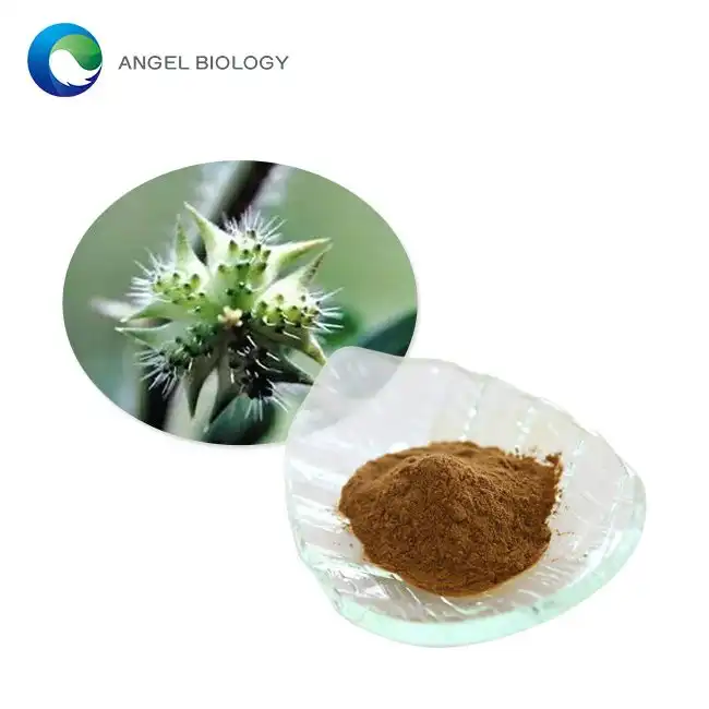 Top Benefits of Tribulus Extract Powder for Boosting Male Libido and Athletic Performance